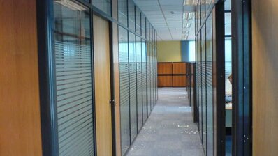 windows in office corridor with etched glass decor